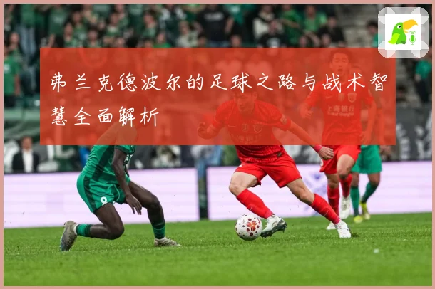 弗兰克德波尔的足球之路与战术智慧全面解析